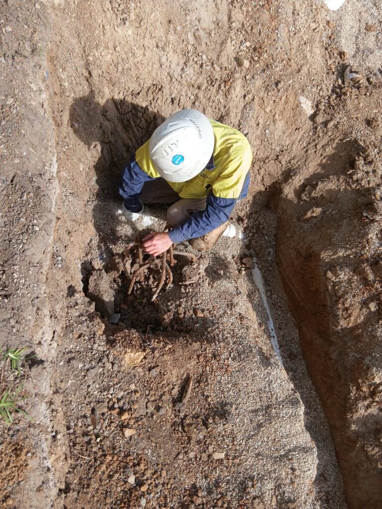 Crowne Civil- Caboolture Snakes -Inspecting Plumbing